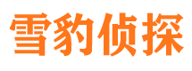 宝塔找人公司